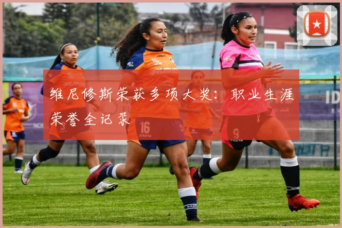 维尼修斯荣获多项大奖：职业生涯荣誉全记录